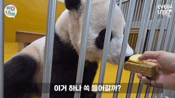 hxsABB.gif