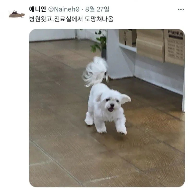 hyoCkP