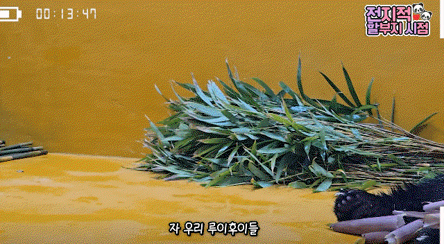 iEnpYi.gif