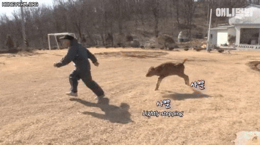 iFCdet.gif