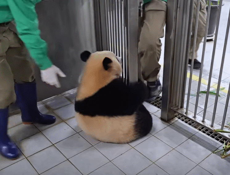 iGzOvU.gif