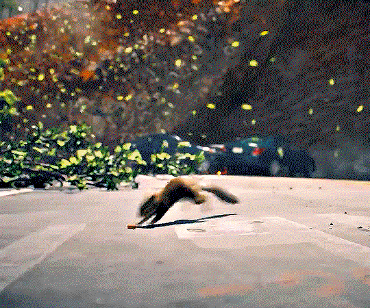 iHSlMT.gif