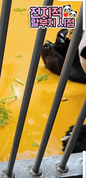 iIlMrn.gif