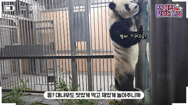 iJRIlU.gif