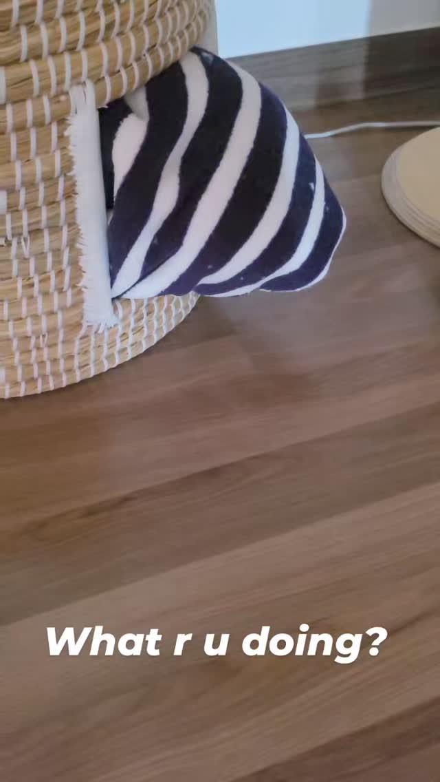 iJsDSn