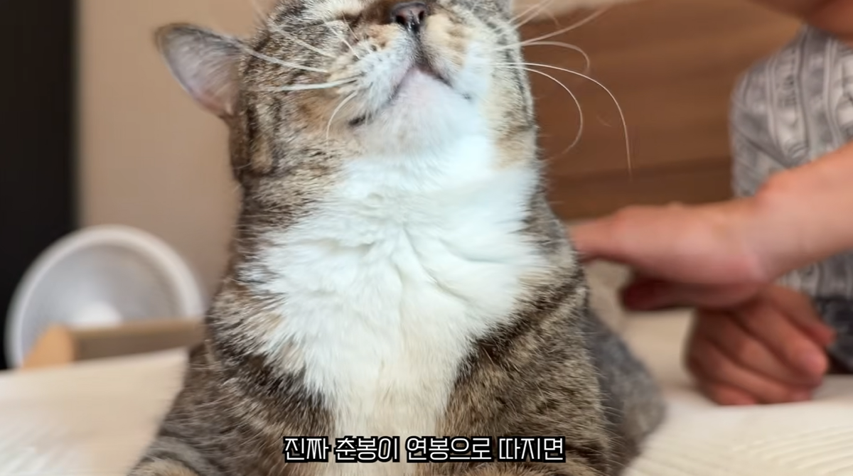 iMFjYz