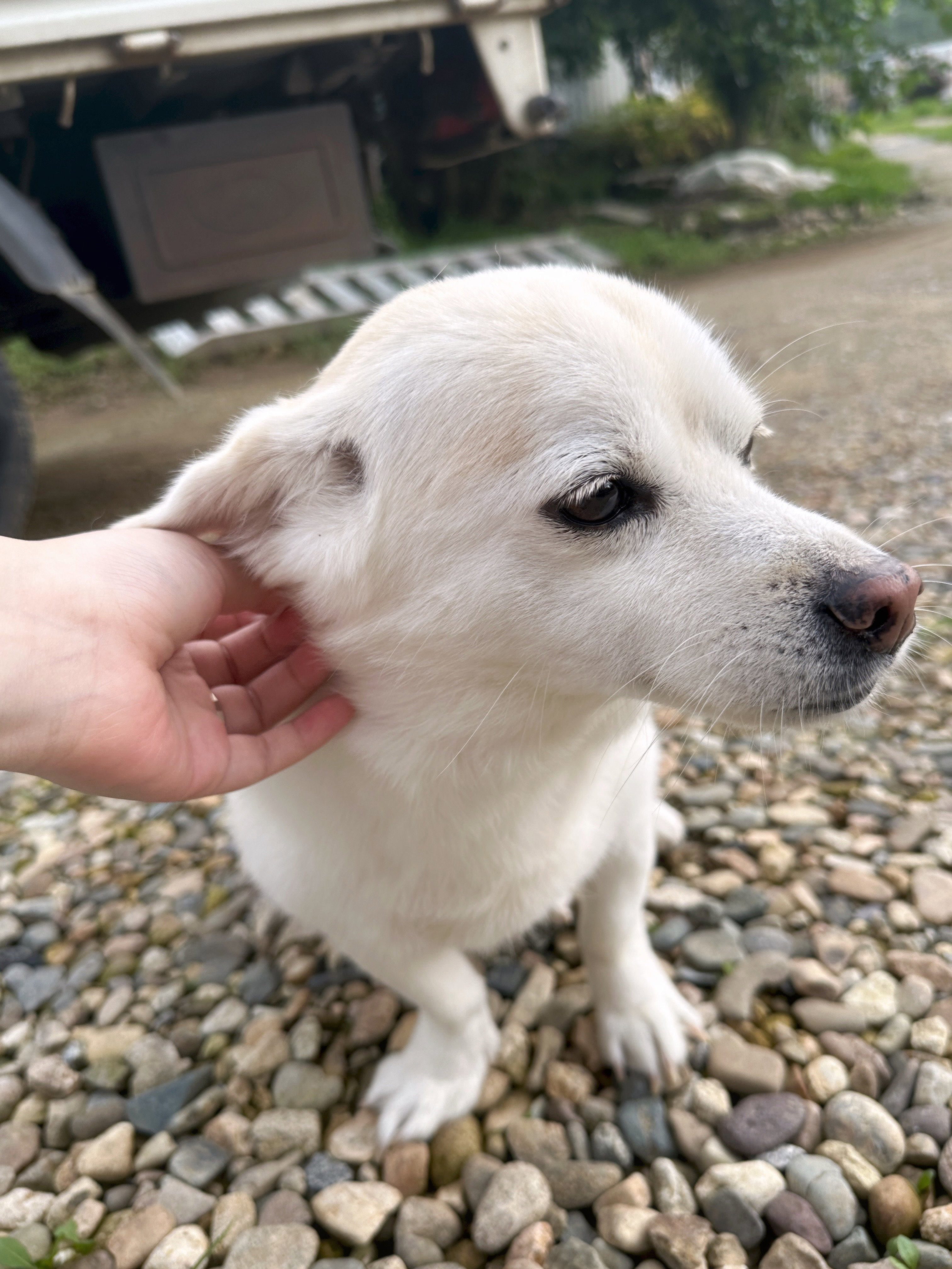 iOYUYv