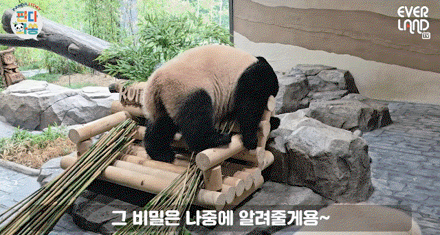 iQCvqo.gif