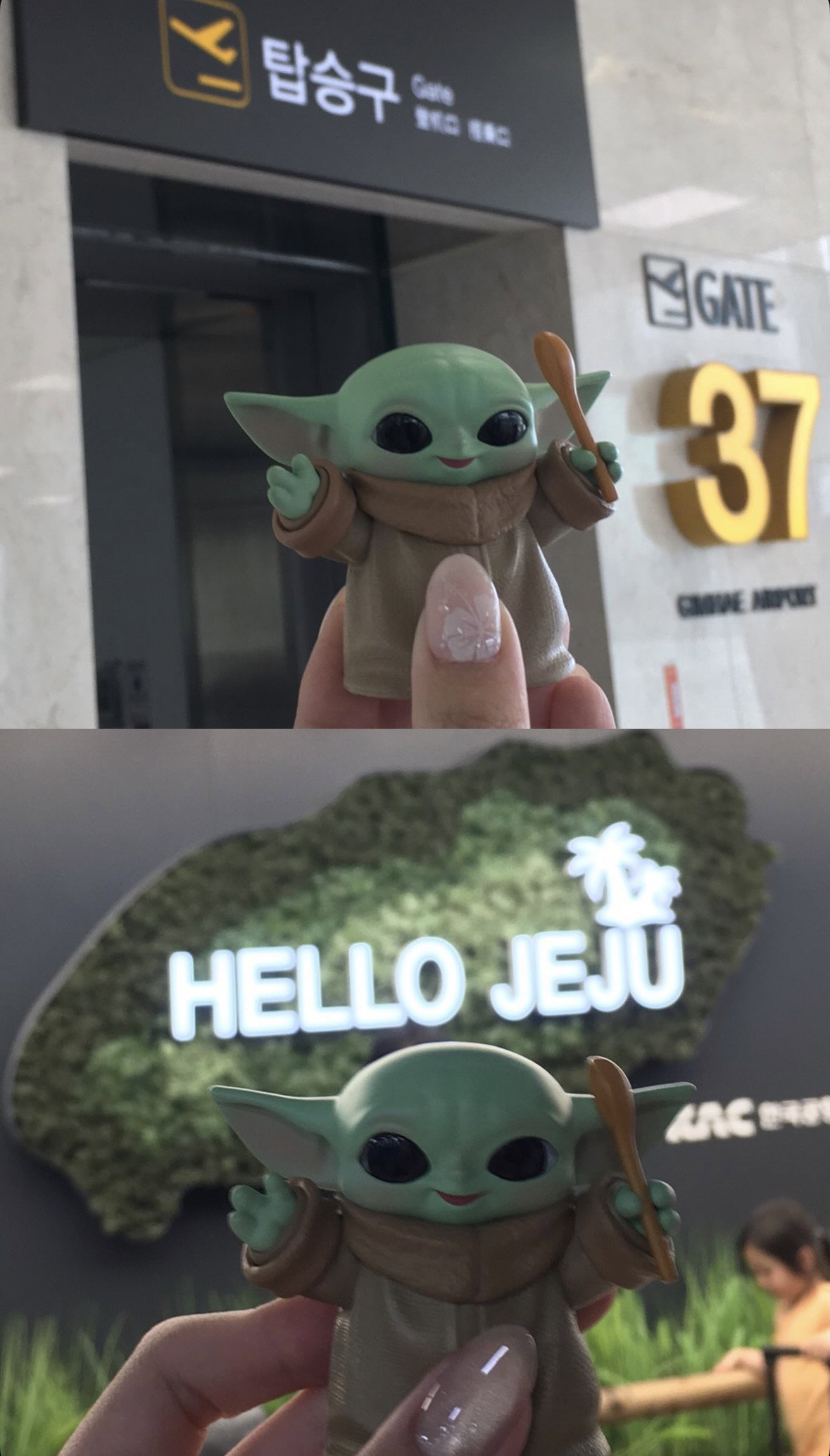 iRFJJd