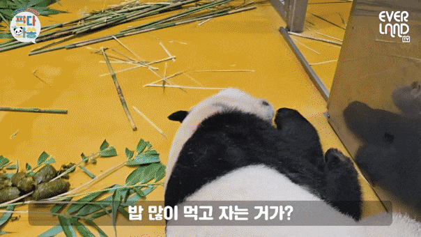 iSLNaR.gif