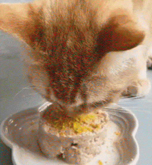 iVFimV.gif