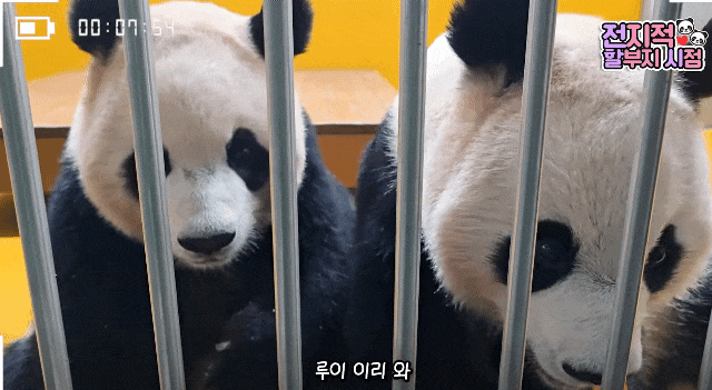 iWGqcq.gif