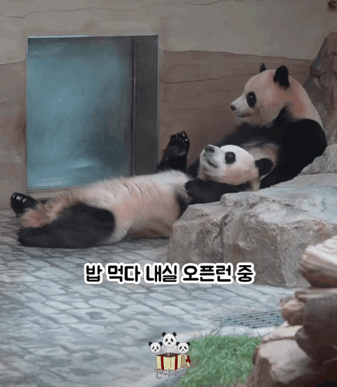 iXxSCb.gif