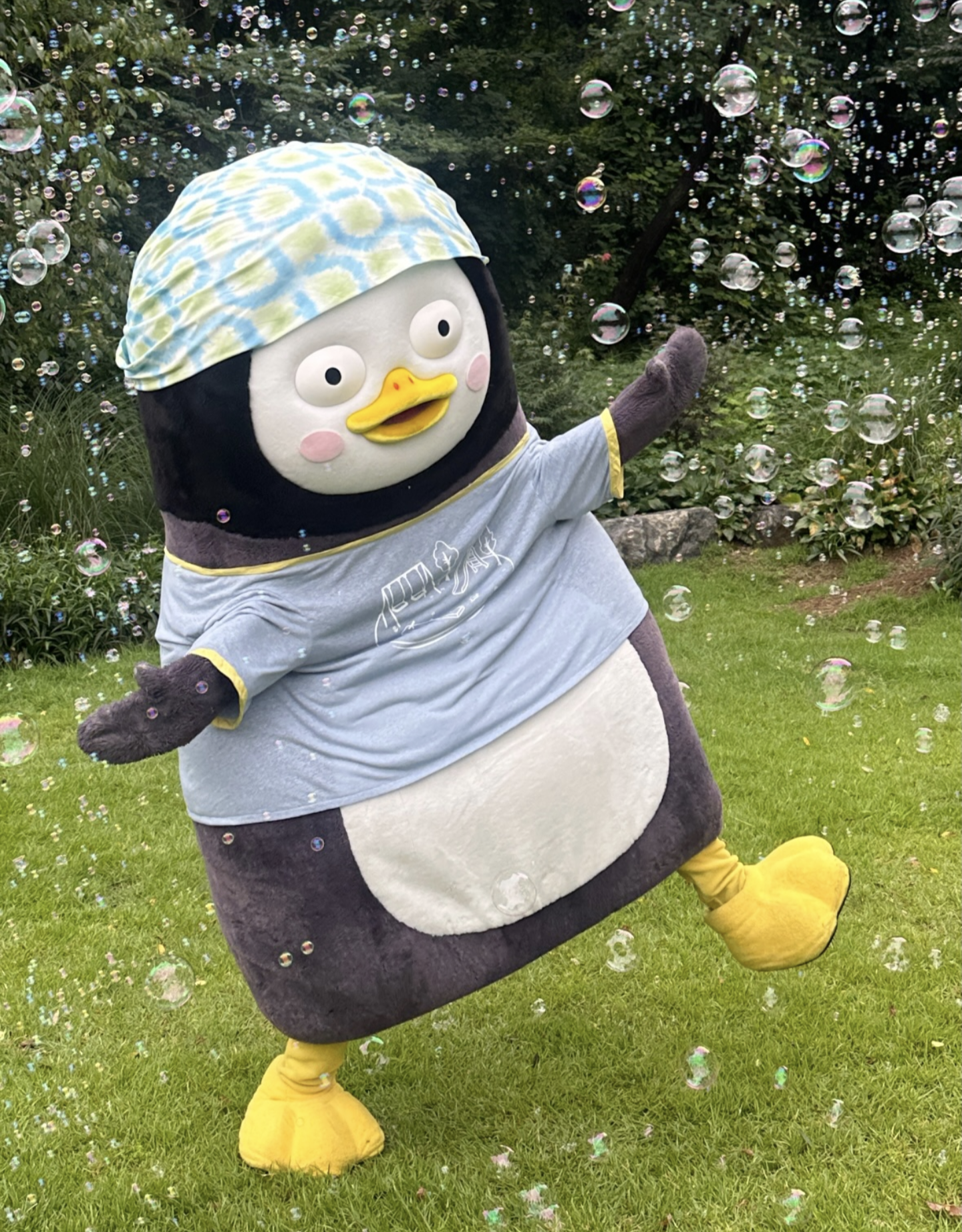 iYQYoa