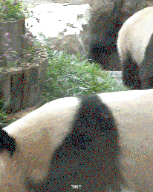 iZJfqd.gif
