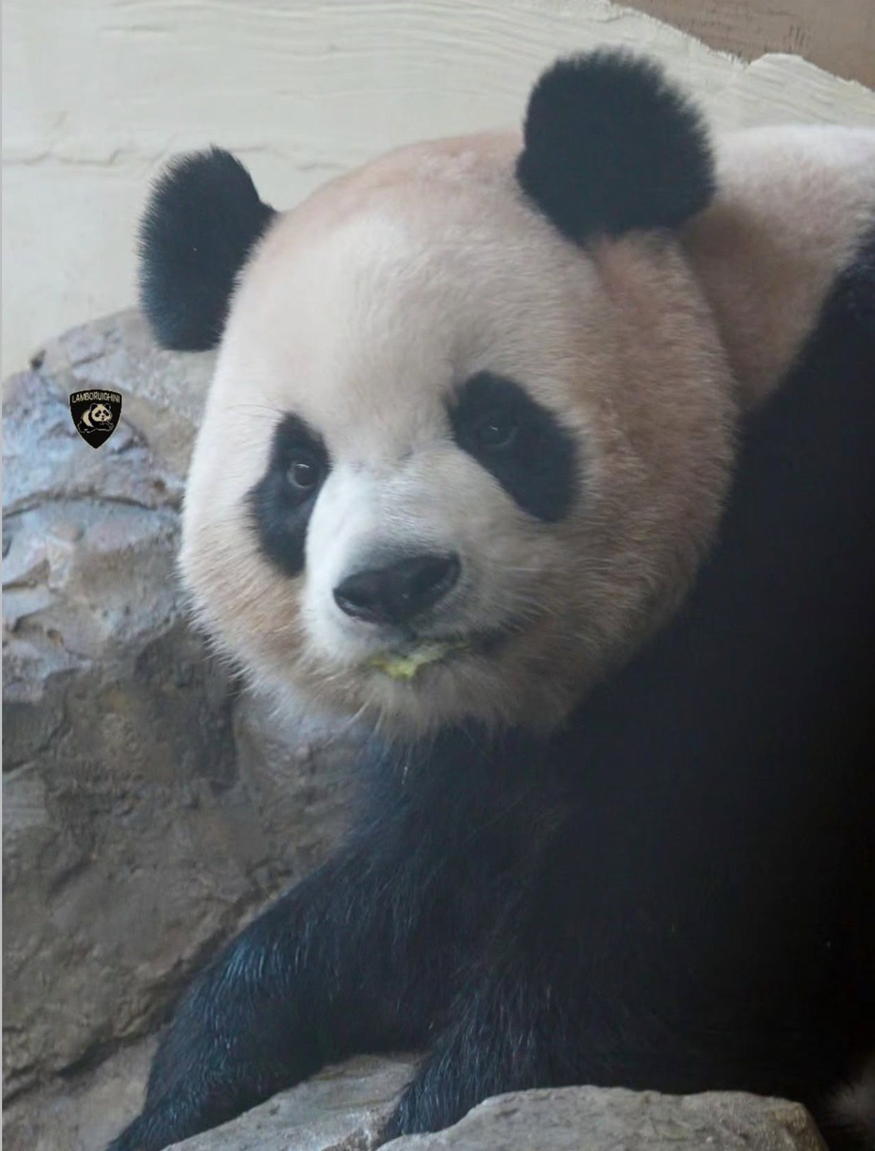 iaKWZB