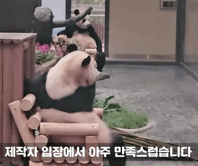 ibUcRi.gif
