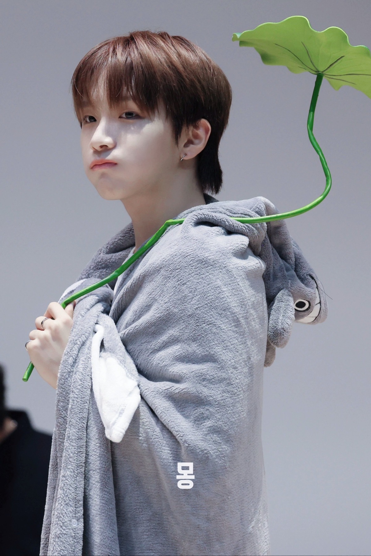 ibuOYp