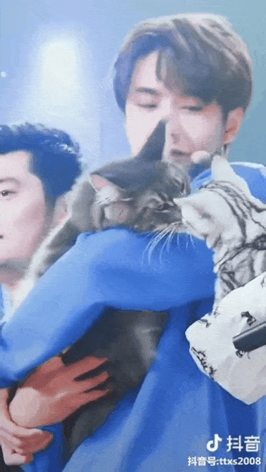 icSEHt.gif