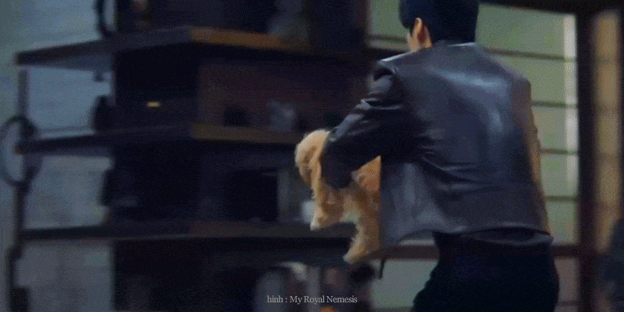 icVwvb.gif
