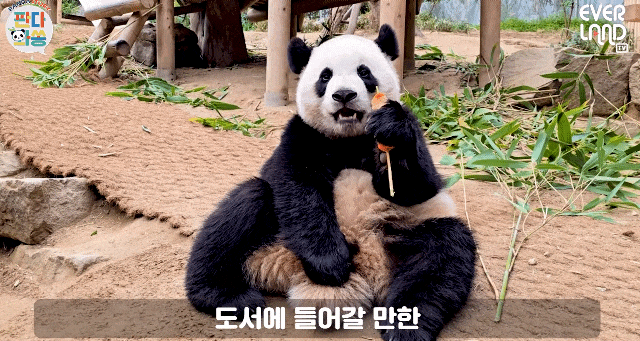 idcPHv.gif