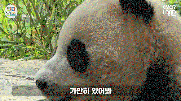 idoxgV.gif