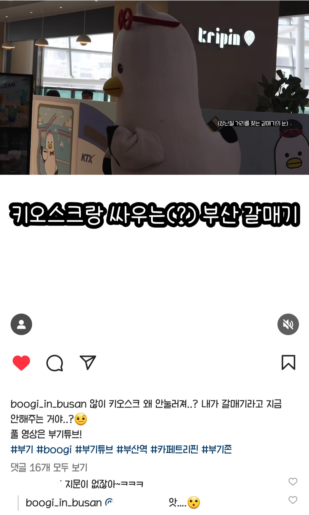 더쿠 - 부기 인스타 구경갔는데 너무 ㄱㅇㅇ