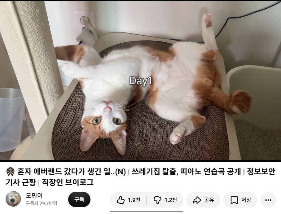 iicDdu