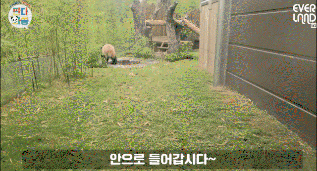 iigPhB.gif