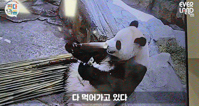 imDTyA.gif