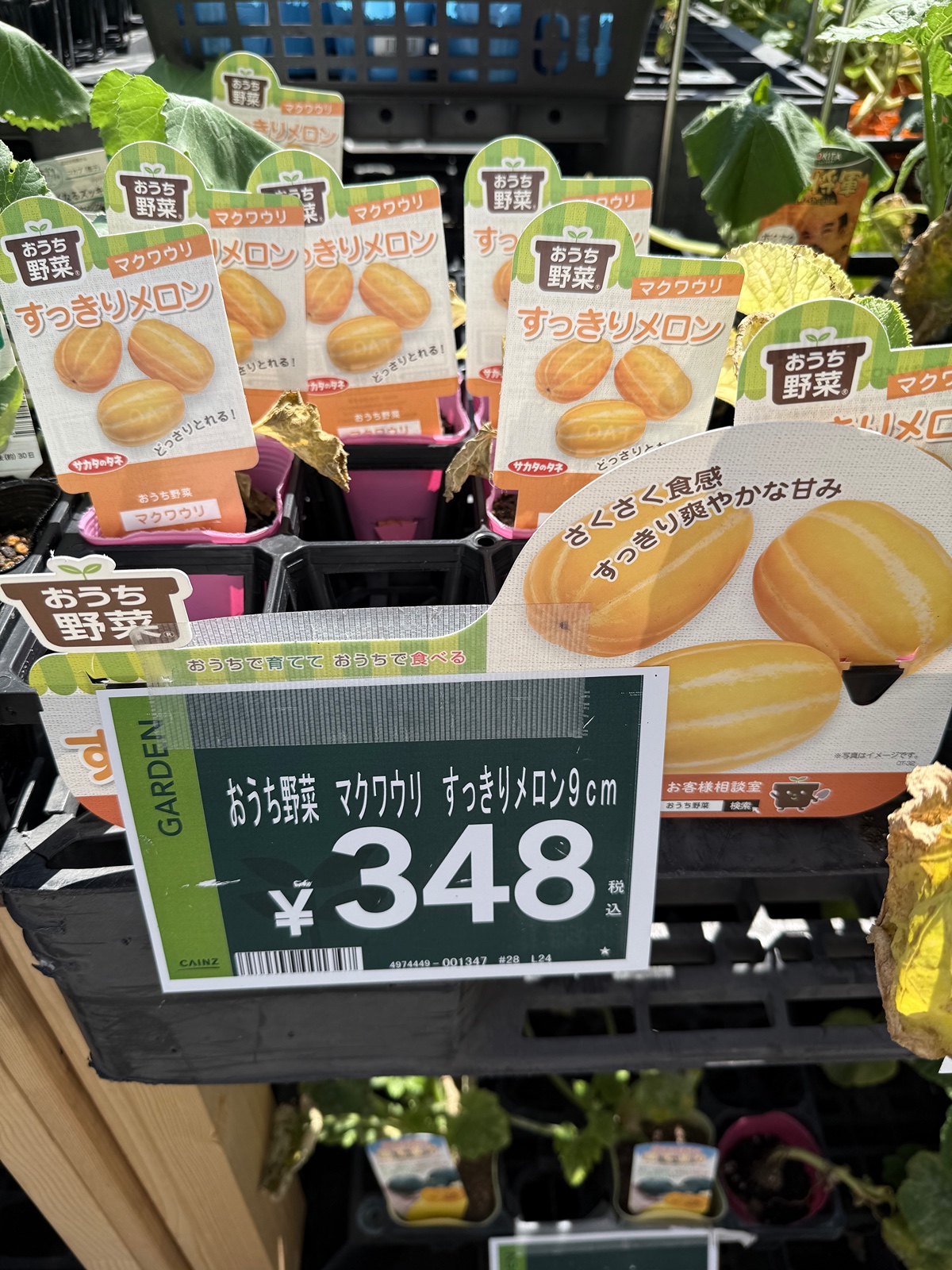 inHLSO
