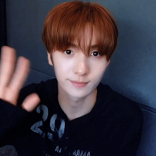 inTNUB.gif