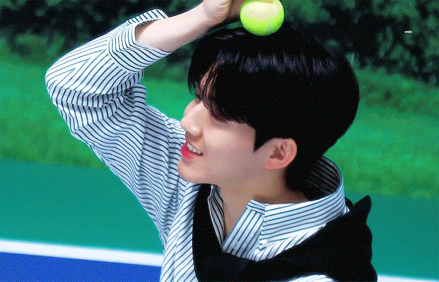 ipCniv.gif