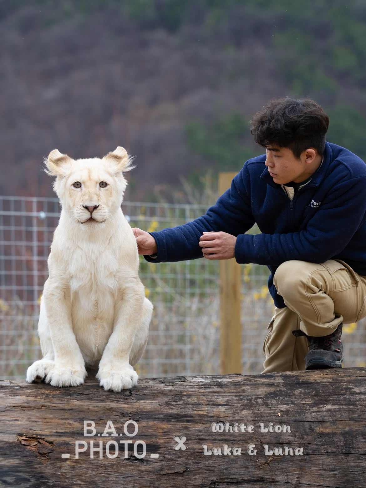 itXmmY