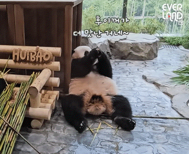 itebWK.gif