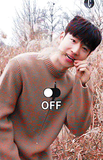 ixnscj.gif