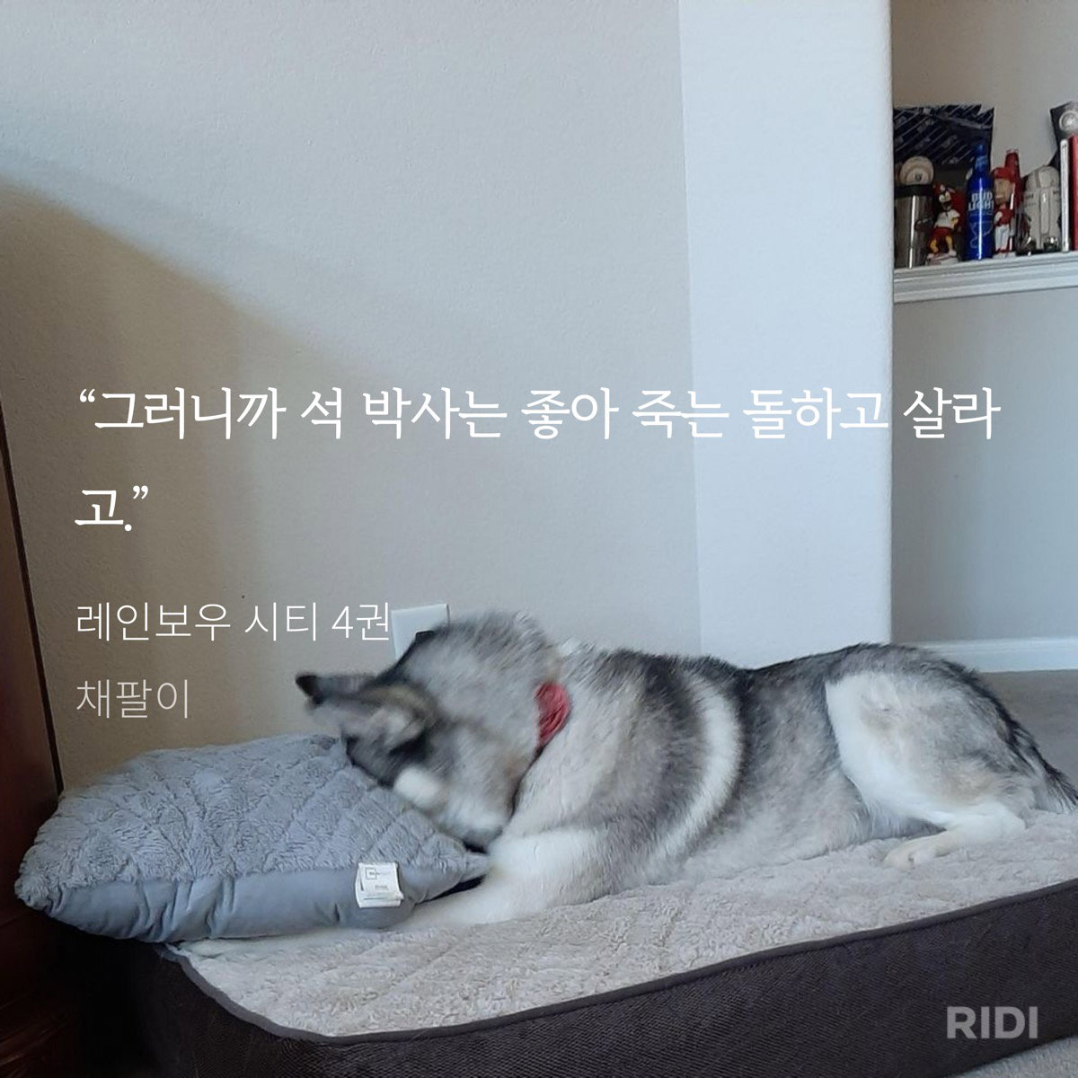iyRCFo