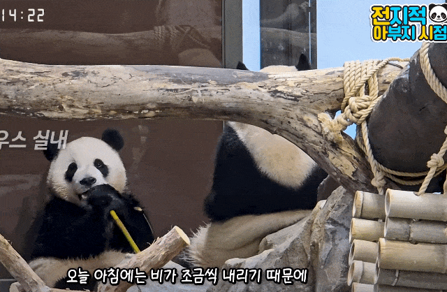 iyoNvL.gif