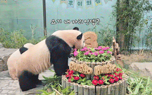 izONma.gif