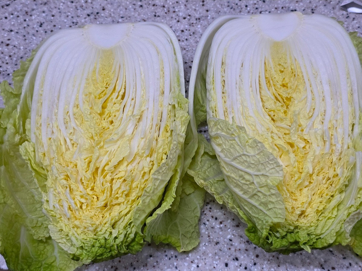 jBpvri