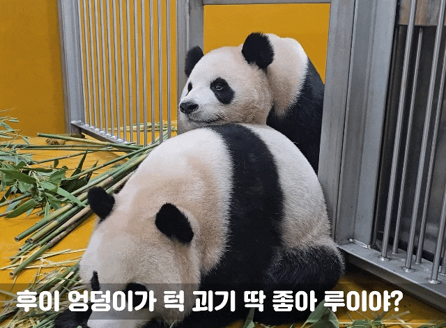 jEvJIk.gif