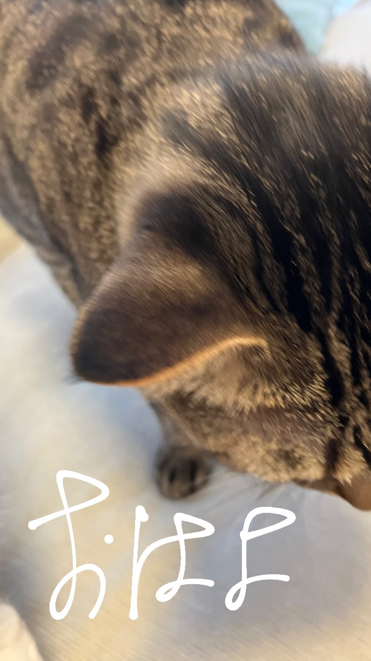 jFRSPy