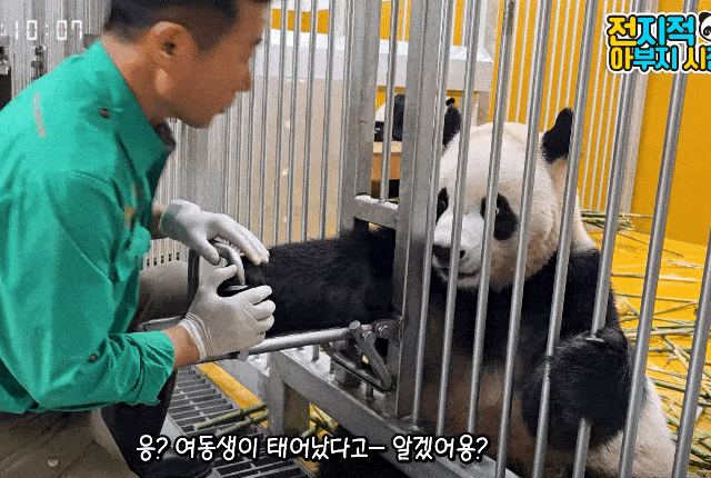 jHAVtv.gif