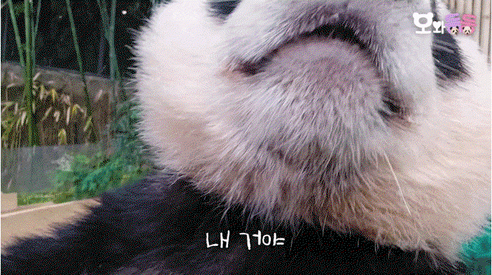jIpRBR.gif