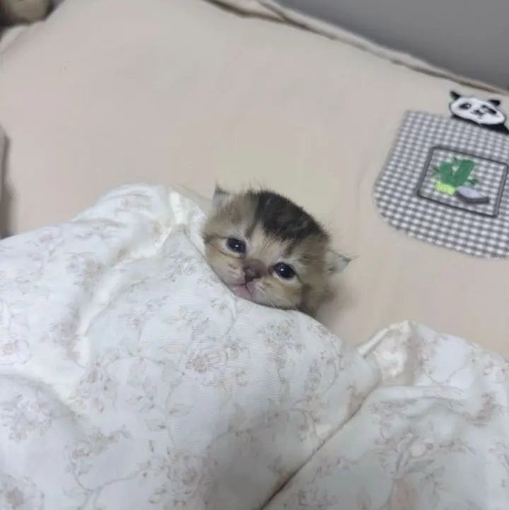 jJvvBY