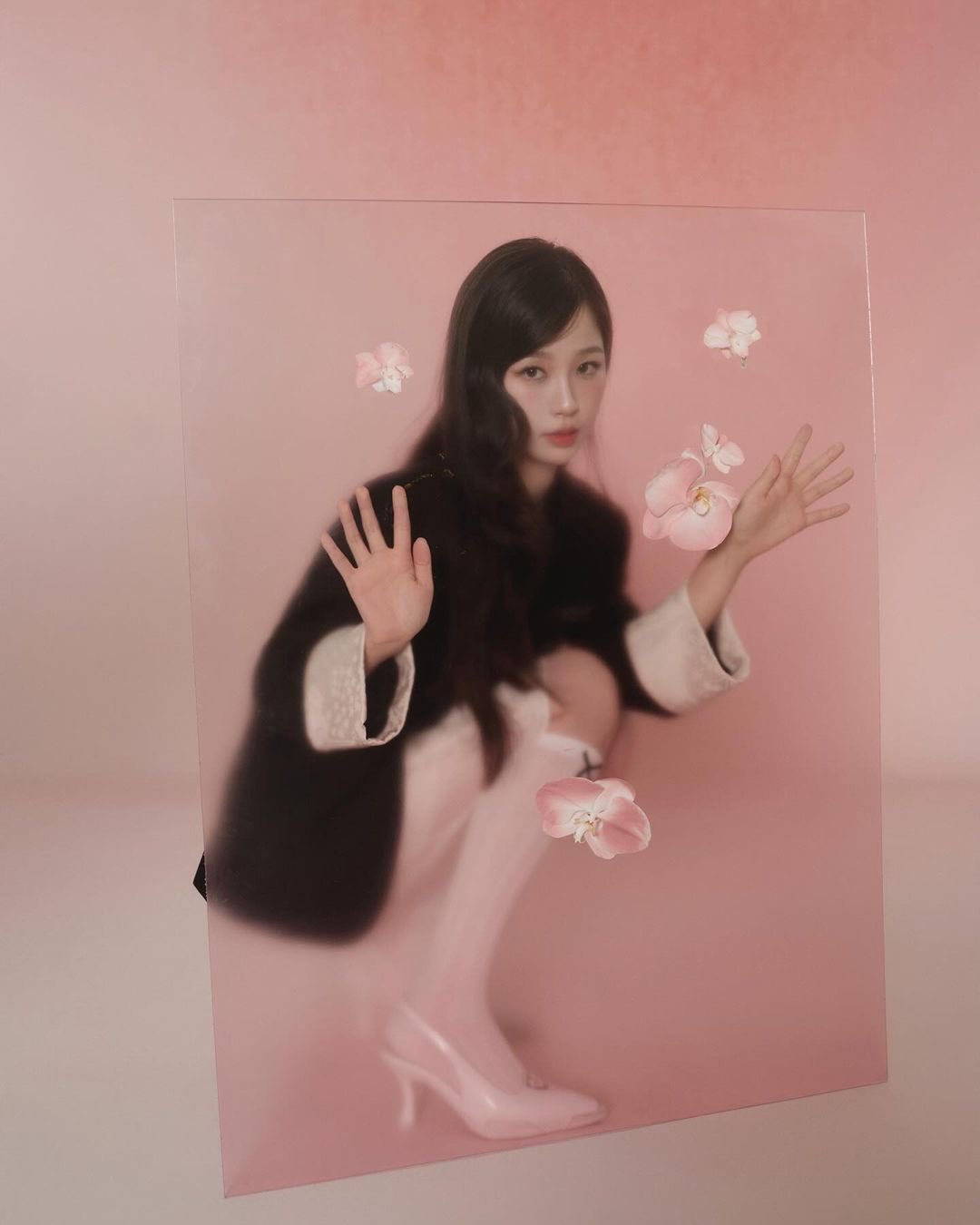 jKBtdV