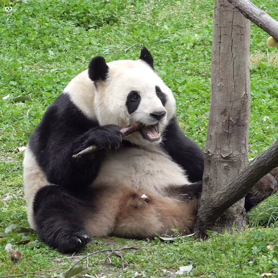 jLmBeK