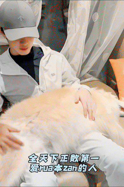 jNMAjW.gif