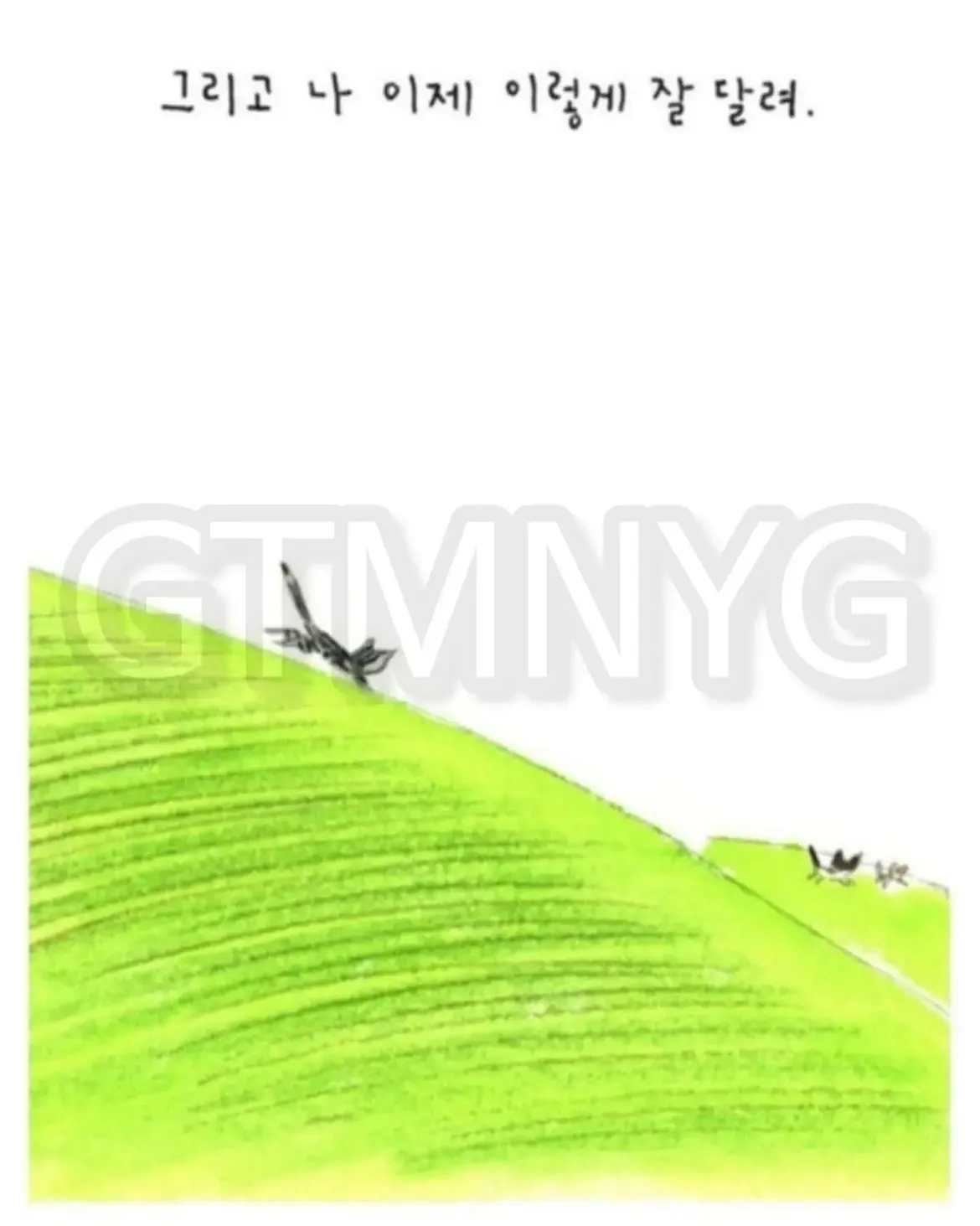 jSTdHm