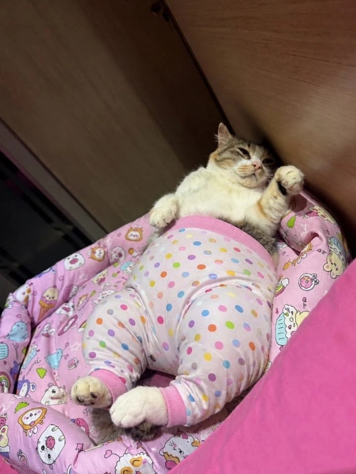 jUIlJp